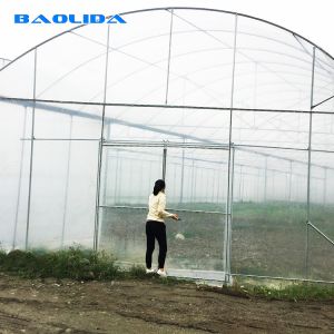 Inner Shading System Multi Arch High Tunnel Greenhouse Clear Multi Span