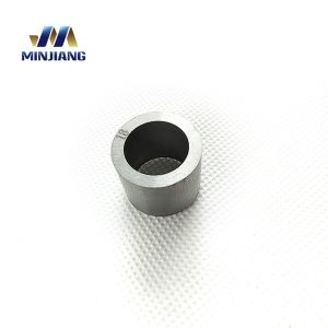 OEM Customized Tungsten Carbide Valve Assembly Cemented Carbide Spray Nozzle