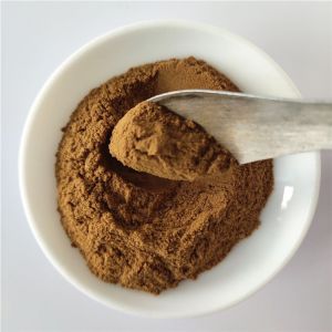 Cheap gmp akebia caulis extract with best price for sale