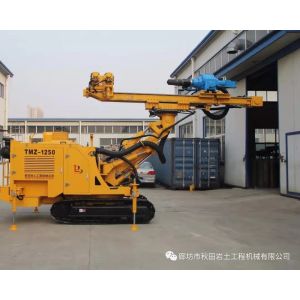 Narrow Spaces Applicable Drilling And Micropile Drill Rig TMZ - 1250