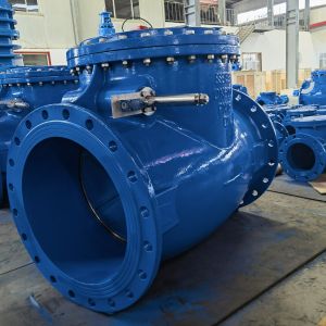 Flanged EPDM Swing Check Valve for Water Gas Oil - ANSI / BS Standard by Veyron