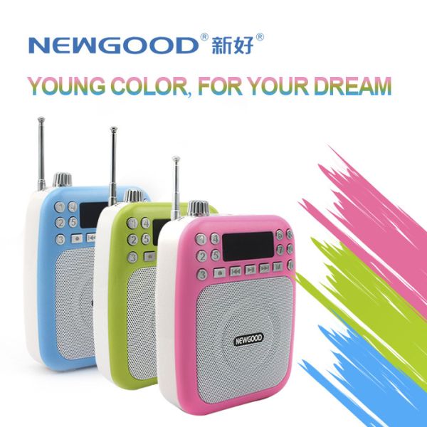 Quality NEWGOOD cheap LED screen pink green USB/TF/SD Card Audio Player Speaker with voice amplifer,voice recorder and FM radio wholesale