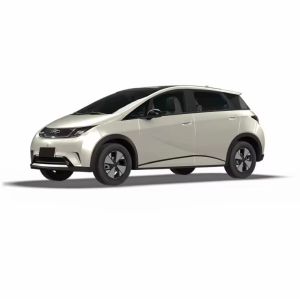Compact Sedan Electric Car BYD Dolphin Electrico 2024 420KM Knight Edition for