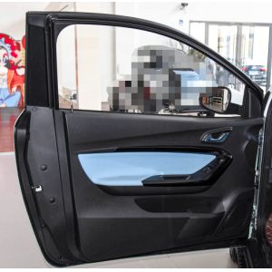 Chery Little Ant 2023 251KM Reai Revised Lithium Iron Phosphate Pure Electric