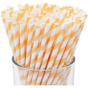 Drinking Eco Friendly Paper Straw Biodegradable Disposable Party Tableware