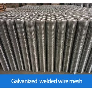 Welded Mesh Ultra Fine Stainless Steel Bird Cages Wire Mesh Low Cost