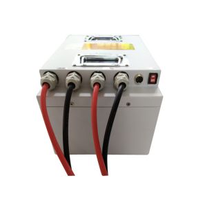 Rechargeable Lithium Iron Phosphate Battery AGV 24V 60AH With LED