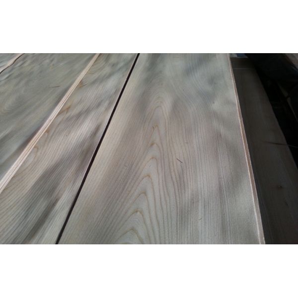 Quality Chipboard Natural Sliced Cut Chinese Elm Veneer Sheet block board wholesale