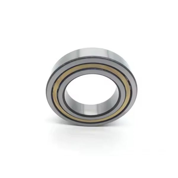 Quality NJ310ECM Cylindrical Roller Bearings (NJ310E.M1 NJ310EM NJ310M Available) wholesale