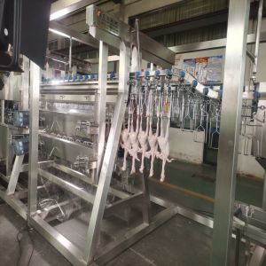 Compact mobile Poultry Slaughter Line / Mobile Chicken Butcher 500bph