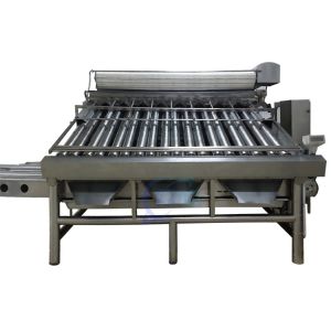 Practical Roller Fish Grader Machine , Multi Function Shrimp Sorter