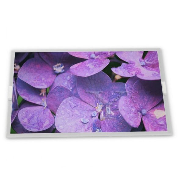 8 inch a-Si TFT-LCD B080EAN01.4 quality suppliers rectangular screen lcd display
