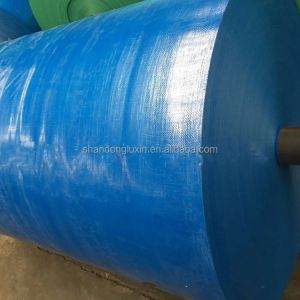Anti-Pull Blue PE Tarpaulin Cover Sheet with Waterproof and Yarn Count 650D