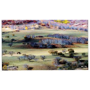 LM238WF5-SSG2 23.8 inch LCD Touch Panel Module