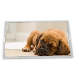 Nice Price 15inch 1024*768 250nit CCFL 20pins LVDS TFT LCD display AA150XN01