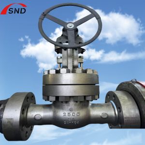 6 Inch 5A-2500 Class Dual Stainless Steel Gate Valve with Middle Bolt Design for
