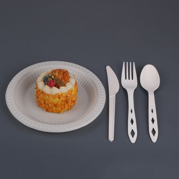 Plastic Disposable Biodegradable Pla Spoon