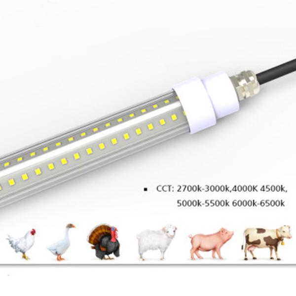 Poultry House IP67 T8 LED Tube Dimmable Flicker Free Lighting For Broiler Chickens