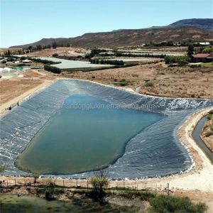 1m-8m Width HDPE Geomembrane Liner for Fish Farm Pond Project Solution