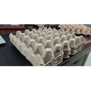 Waste Paper Pulp 200KW Egg Tray Making Machine