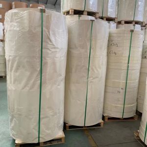 Bio Flexo Paper Cup Bottom Roll 320GSM Raw Material For Paper Cup