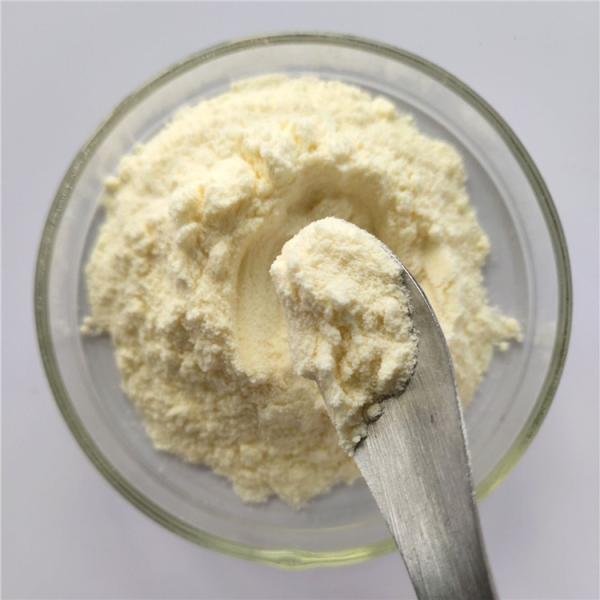 Quality Catharanthus Roseus Extract/Vinca Rosea Extract Powder wholesale