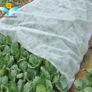 Agricultural PP Spunbond Non Woven Agriculture Cloth Splicing Extra Width