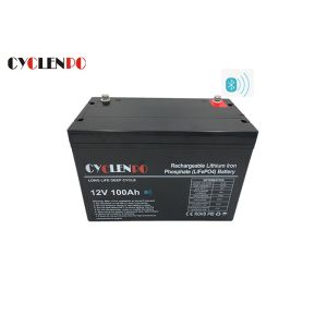 Lightweight RV Bluetooth Lithium Battery Fast Charge / Discharge With Bluetooth