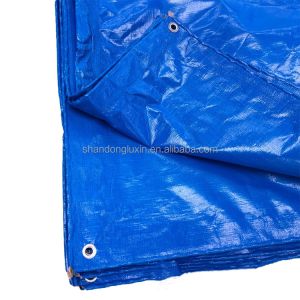 6*6-16*16 Density PE Tarpaulin Poly Tarp With Reinforced Fabric for Industrial