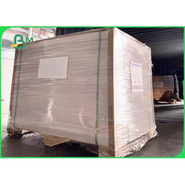 coated food container board 100% compostable Single Side White Coated Food Paper Board 325gsm