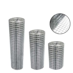 Galvanized Welded Wire Mesh Roll 1cm 2cm Grid Welded Wire Mesh 1x20m Wall Anti