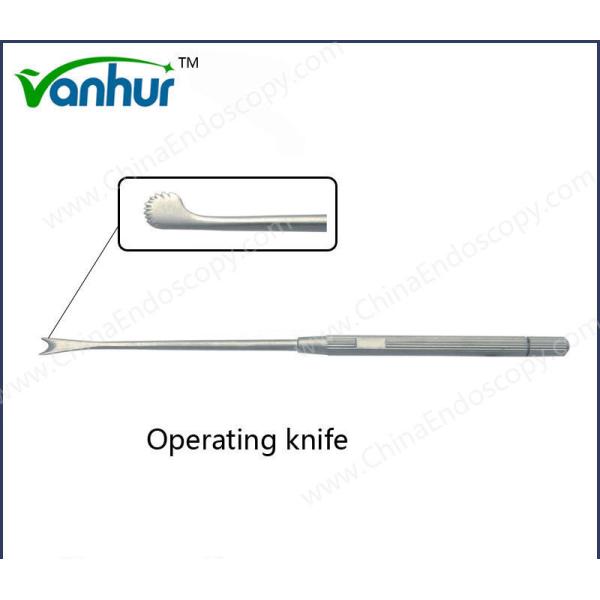 Scalpel for Surgical Instruments OEM Acceptable Operating Rose Knife in