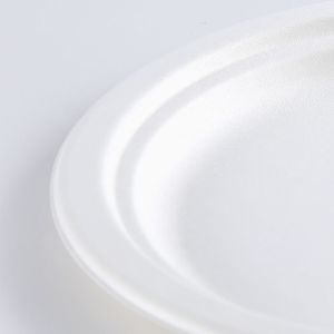 8.75 inch round white pulp biodegradable sugarcane party plates