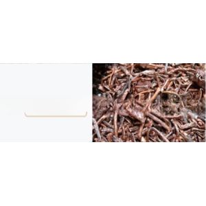 2024 Abandoned Metal Dismantling Plant for Environmental Waste TV Fridge Recycle