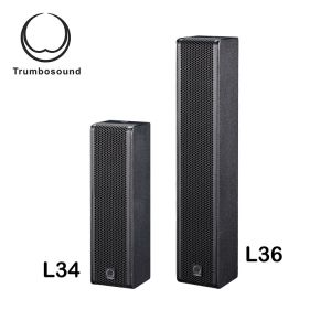 Black 100HZ 4x3 Inch Full Range Speaker Column Loudspeaker