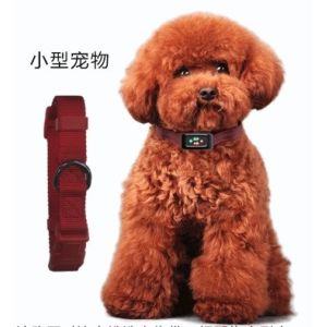 Geo Fence Long Standby Time Mini Dog GPS Tracker With GPS And LBS Functions