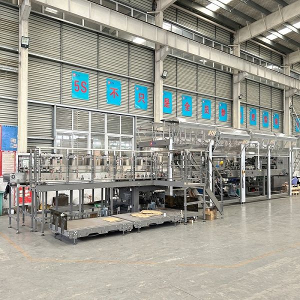 Automatic Wrap Around Case Packer for Beverage Production Line with Fully