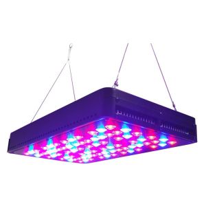 Cheap CIDLY Super 5W chips LED Vegetable and Flowering control 200W LED grow light full spectrum for sale