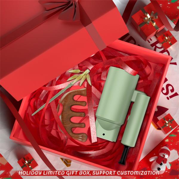 Quality Festival Gift Box Set Customized Hair Dryer Curling Wand Set With 1M Power Cord Concentrator Nozzle wholesale