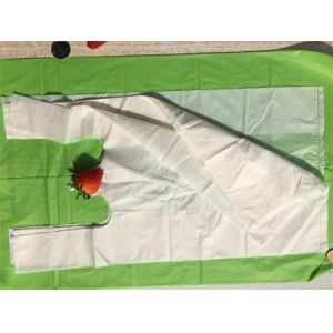 Cheap 100% Biodegradable Compostable Plastic Shopping Bags for sale