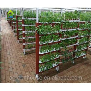 Sided Ladder PVC Soilless Hydroponic System Automatic Vertical Farming System