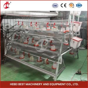 China 2 Doors Durable Chick Brooder Cage Automatic Feeding System Emily on sale