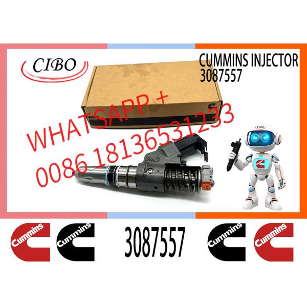 Diesel Engine Fuel Injector 3411752 3084589 3087557 3411752 3411761 4307547