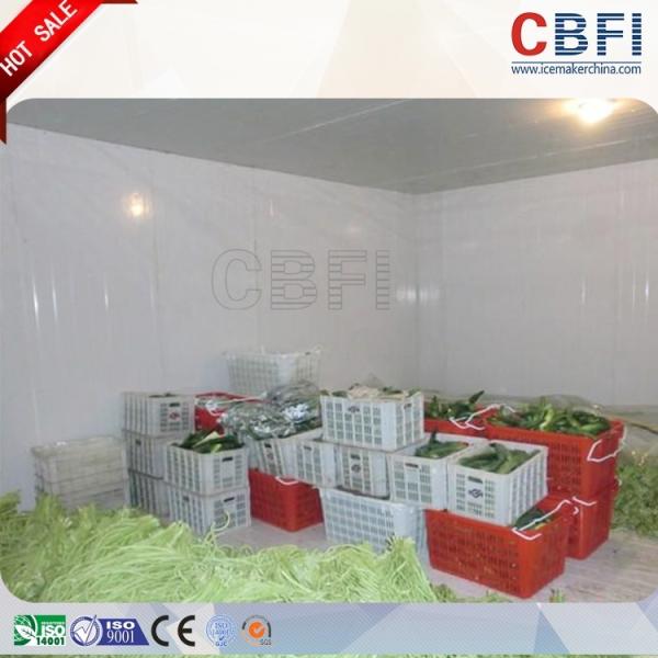 Quality Integrated R404a Cold Storage Room , Low Temperature Cold Room Fresh Keeping wholesale