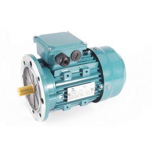 MS IE1 High Quality Aluminium Construction 3 Phase Induction Motor with NSK Bearing