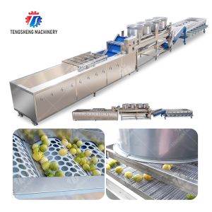 Passion fruit cleaning and drying sorting production line Fruit Vegetable FOOD