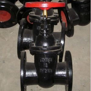 Industrial 8 Inch Ductile Iron Gate Valve with Metal Seal and ANSI Flanged