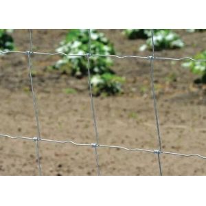 100g/M2 Zinc Coated Hinge Joint Fence , 1m High Galvanized Cattle Fence