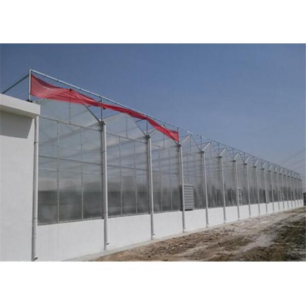 Quality UV Protection PC Sheet Greenhouse 2100mm Max Width Co Extrusion Technology wholesale