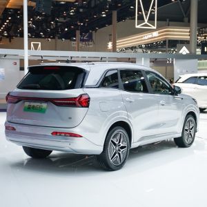 5/7 Seats Front/Rear Wheelbase Electric Vehicle Plug-In Hybrid with 1585/1580mm